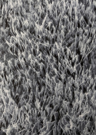 Inner Forms 6 