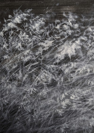 Inner Forms 7 
